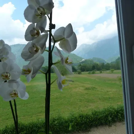 Διαμέρισμα Hisasmihelka *