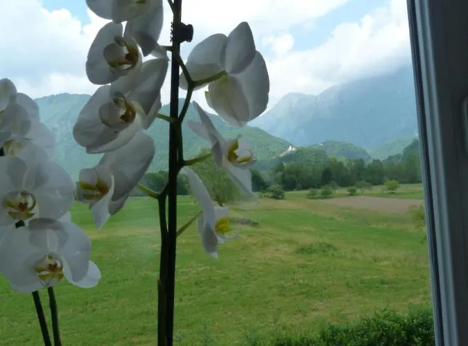 Appartement Hisasmihelka *